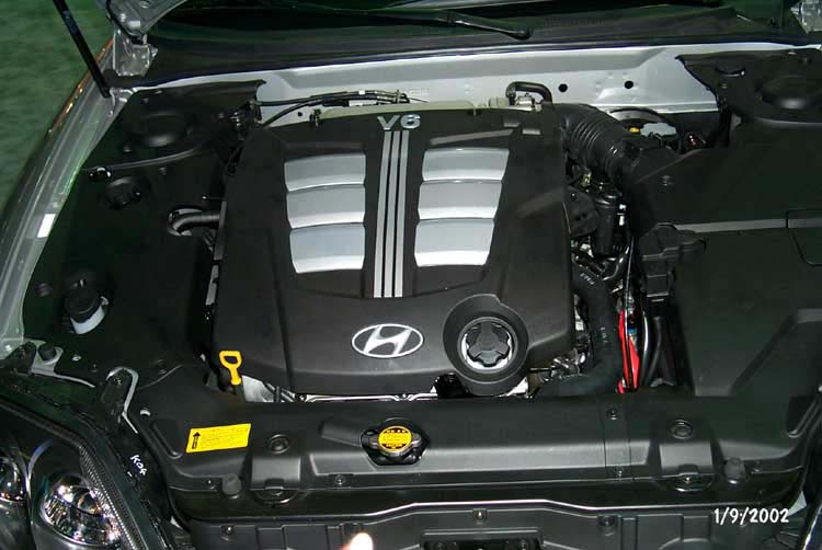 Tiburon6