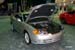 Tiburon1