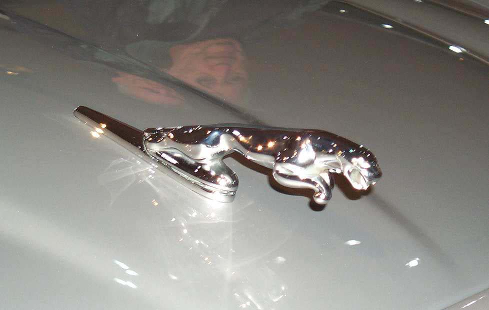 Jaguar