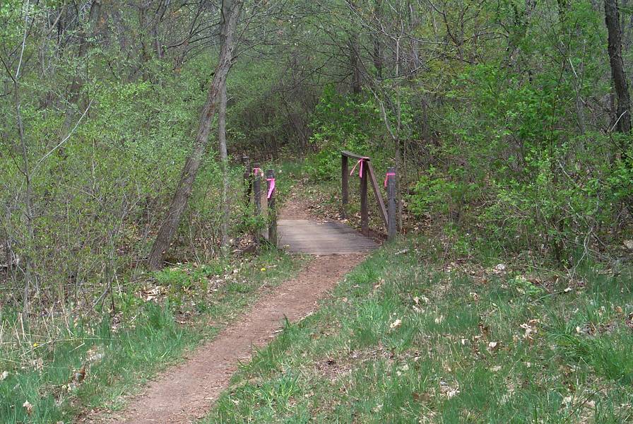 trail12