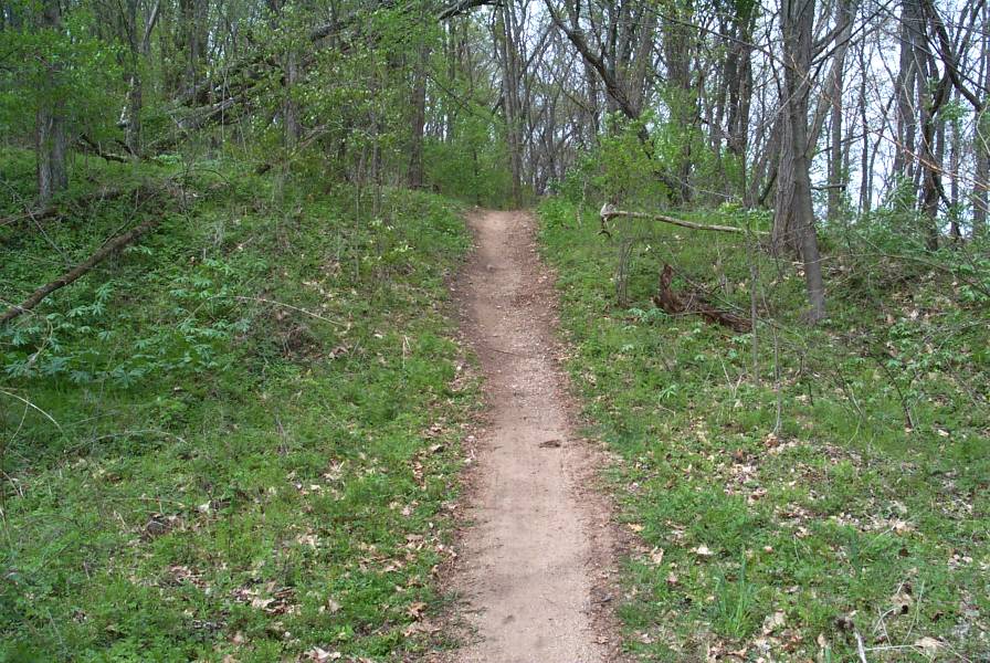 trail14
