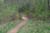trail12