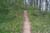 trail14