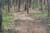 trail15