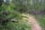 trail16