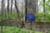 trail5