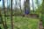 trail6