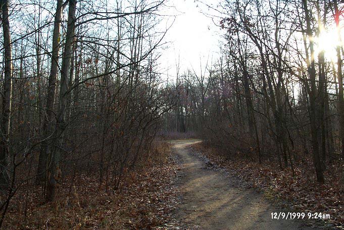 dtrail1
